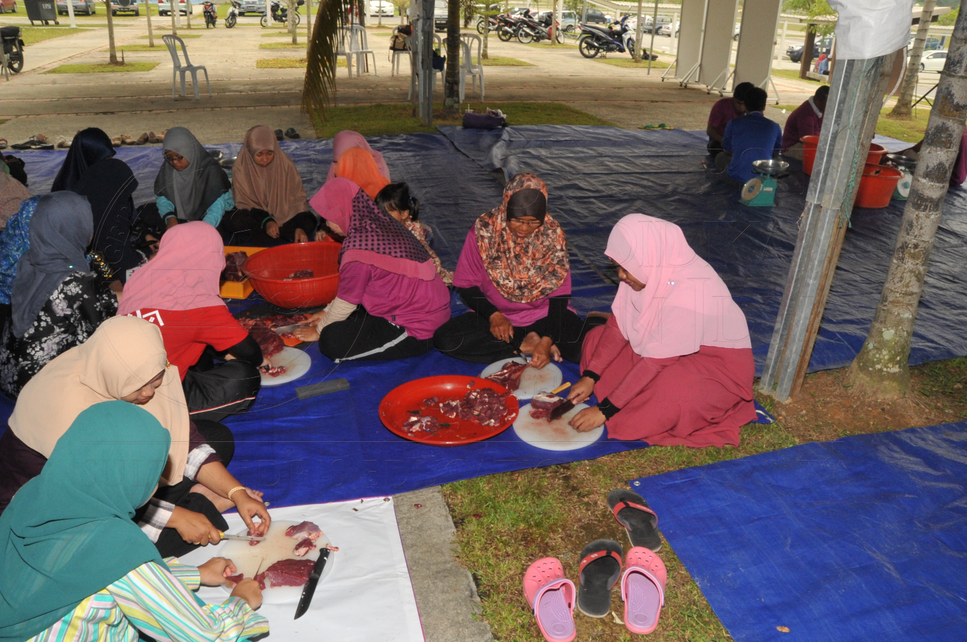 PRO15 150 KORBAN HAS 6946